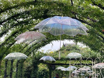 横浜イングリッシュガーデンに投稿された画像（2024/6/20）