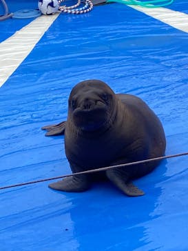 大分マリーンパレス水族館 「うみたまご」に投稿された画像（2024/6/20）