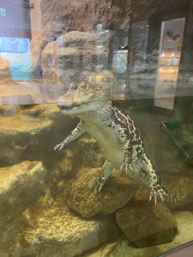 日立市かみね動物園に投稿された画像（2024/6/20）