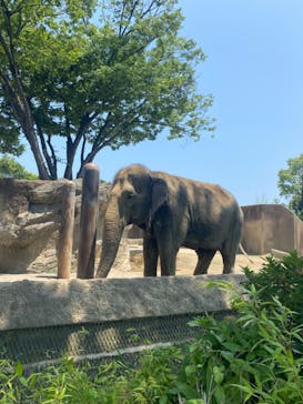 日立市かみね動物園に投稿された画像（2024/6/20）