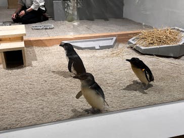 AOAO SAPPOROに投稿された画像（2024/6/20）