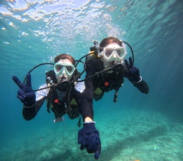 沖縄マリンサービス碧に投稿された画像（2024/6/20）