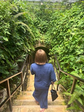 石垣島鍾乳洞に投稿された画像（2024/6/20）