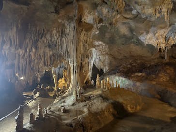 石垣島鍾乳洞に投稿された画像（2024/6/20）