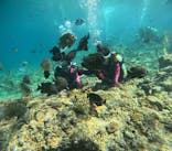 沖縄マリンサービス碧に投稿された画像（2024/6/20）