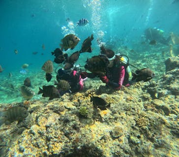 沖縄マリンサービス碧に投稿された画像（2024/6/20）