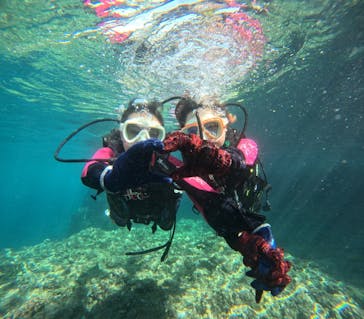 沖縄マリンサービス碧に投稿された画像（2024/6/20）