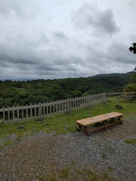 今帰仁城跡に投稿された画像（2024/6/20）