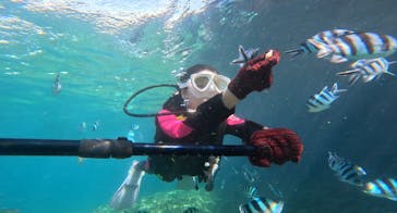 沖縄マリンサービス碧に投稿された画像（2024/6/20）