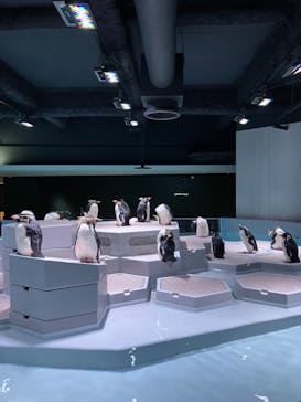 AOAO SAPPOROに投稿された画像（2024/6/20）