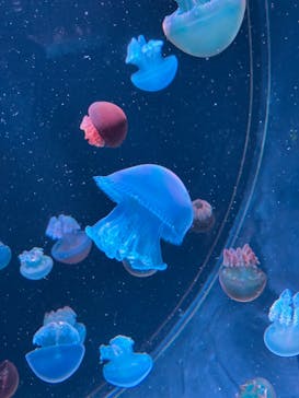 AOAO SAPPOROに投稿された画像（2024/6/20）