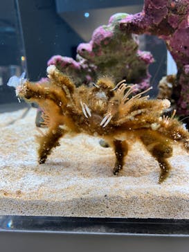 AOAO SAPPOROに投稿された画像（2024/6/20）