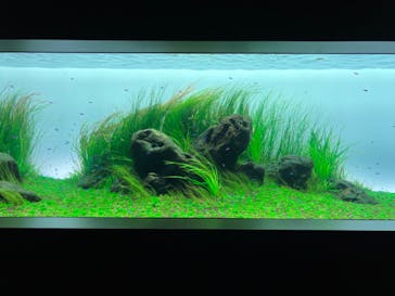 AOAO SAPPOROに投稿された画像（2024/6/20）