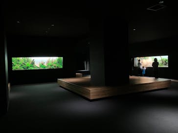 AOAO SAPPOROに投稿された画像（2024/6/20）