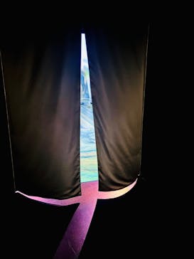 Immersive Museum OSAKA 2025に投稿された画像（2024/6/20）