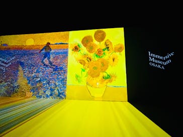 Immersive Museum OSAKA 2025に投稿された画像（2024/6/20）