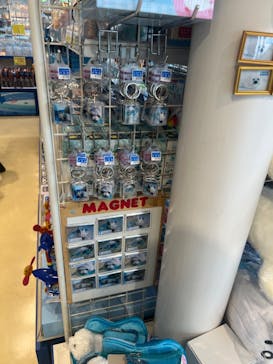 しながわ水族館に投稿された画像（2024/6/20）