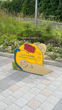 しながわ水族館に投稿された画像（2024/6/20）