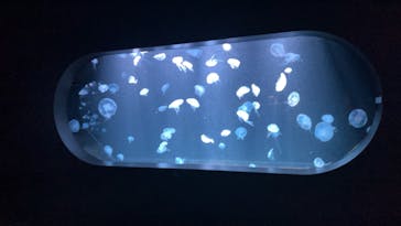 AOAO SAPPOROに投稿された画像（2024/6/20）