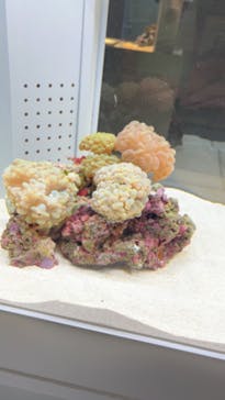 AOAO SAPPOROに投稿された画像（2024/6/20）