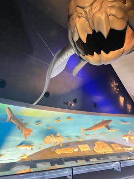 環境水族館アクアマリンふくしまに投稿された画像（2024/6/20）