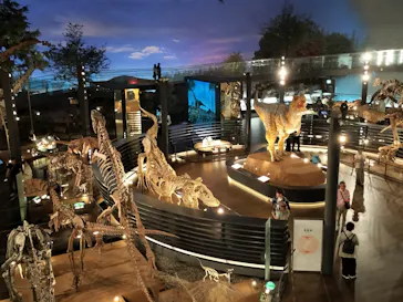 福井県立恐竜博物館に投稿された画像（2024/6/20）