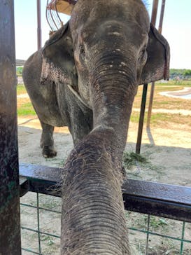 岩手サファリパークに投稿された画像（2024/6/20）