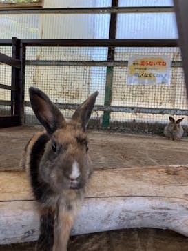 岩手サファリパークに投稿された画像（2024/6/20）