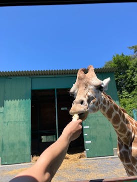 岩手サファリパークに投稿された画像（2024/6/20）