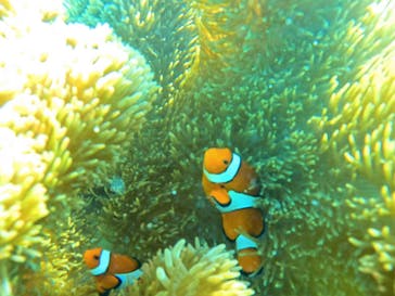 宮古島 ADVENTURE PiPi（ミヤコジマ アドベンチャー ピピ）に投稿された画像（2024/6/20）