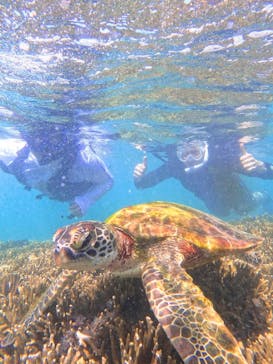 宮古島 ADVENTURE PiPi（ミヤコジマ アドベンチャー ピピ）に投稿された画像（2024/6/20）