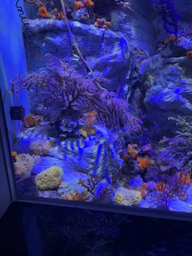 名古屋港水族館に投稿された画像（2024/6/20）