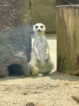 よこはま動物園ズーラシアに投稿された画像（2024/6/20）