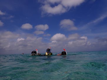 nico 宮古島に投稿された画像（2024/6/20）