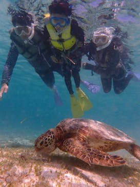 nico 宮古島に投稿された画像（2024/6/20）