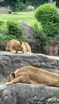 天王寺動物園に投稿された画像（2024/6/20）