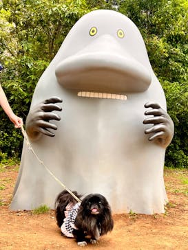 ムーミンバレーパークに投稿された画像（2024/6/20）