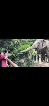 到津の森公園に投稿された画像（2024/6/20）