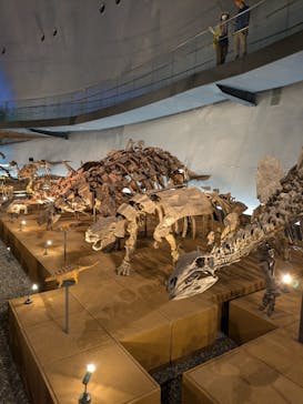 福井県立恐竜博物館に投稿された画像（2024/6/20）
