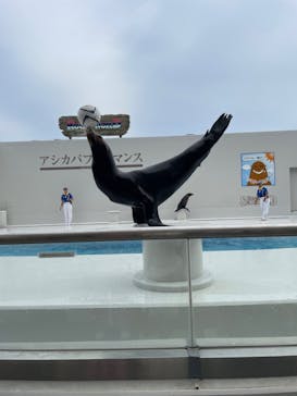 鴨川シーワールドに投稿された画像（2024/6/20）