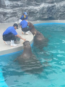 鴨川シーワールドに投稿された画像（2024/6/20）