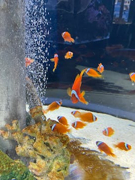 鴨川シーワールドに投稿された画像（2024/6/20）