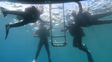 Pro Scuba Team SEALs（シールズ）に投稿された画像（2024/6/20）