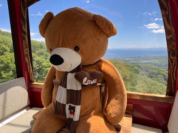 のぼりべつクマ牧場に投稿された画像（2024/6/20）