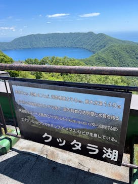 のぼりべつクマ牧場に投稿された画像（2024/6/20）