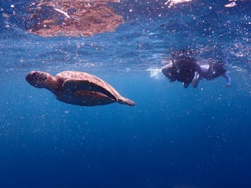 calm石垣島に投稿された画像（2024/6/20）