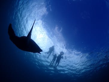 calm石垣島に投稿された画像（2024/6/20）