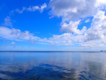 石垣島 ADVENTURE PiPi（イシガキジマアドベンチャーピピ）に投稿された画像（2024/6/21）