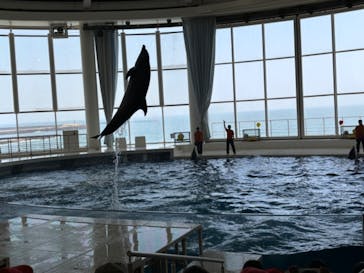 アクアワールド茨城県大洗水族館に投稿された画像（2024/6/21）