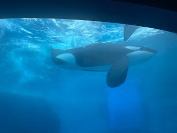 名古屋港水族館に投稿された画像（2024/6/21）